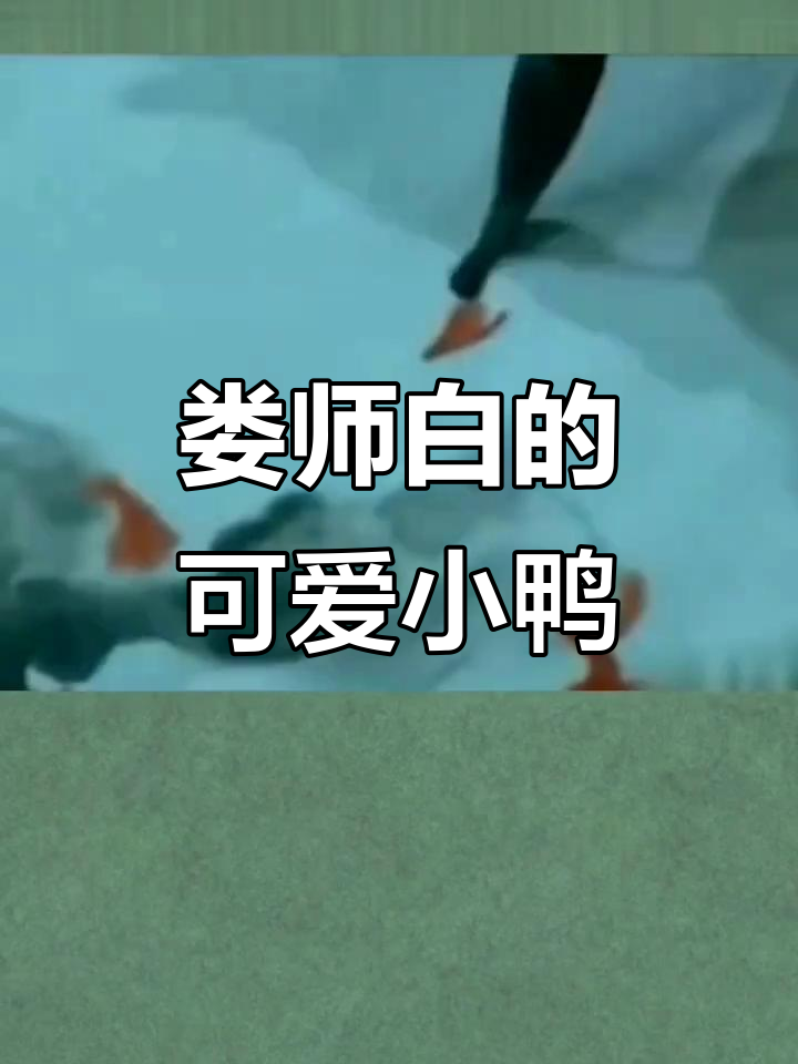 娄师白笔下的小鸭子，生动活泼展现农村风情