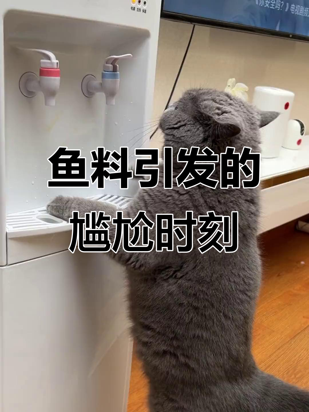 鱼疗变“社死”现场，脚气竟成罪魁祸首