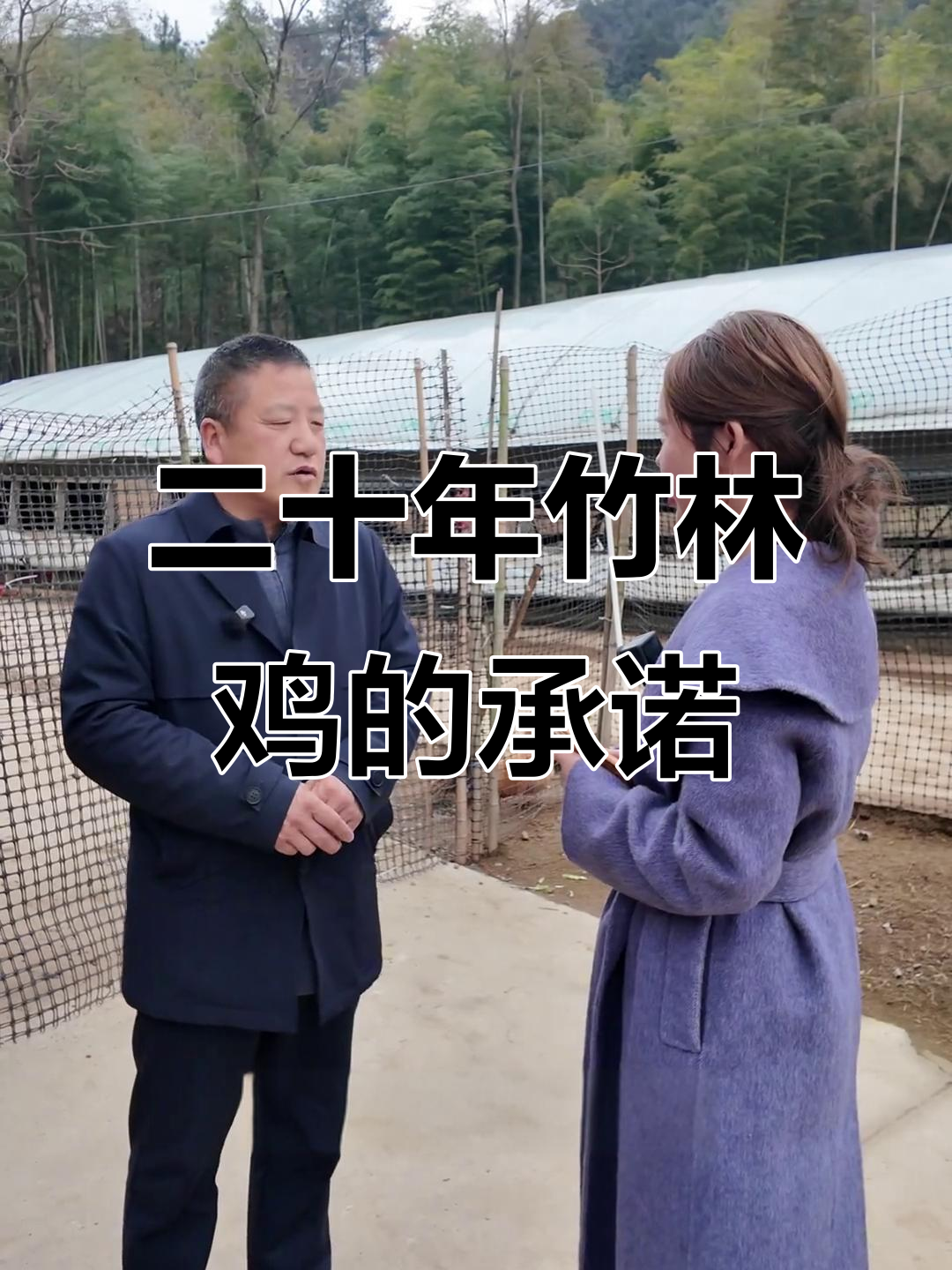 二十年坚守,竹林鸡汤背后的暖心故事