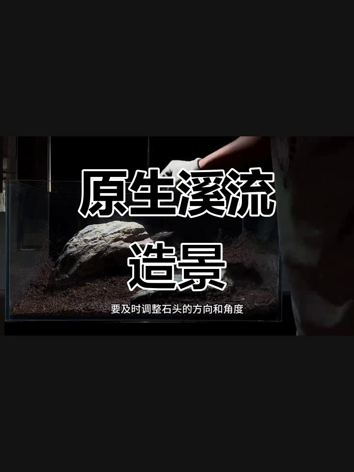 打造自然溪流景观,鱼缸变森林小天地