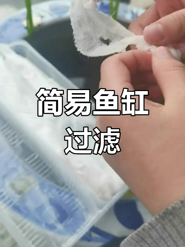 自制鱼缸过滤器制作教程