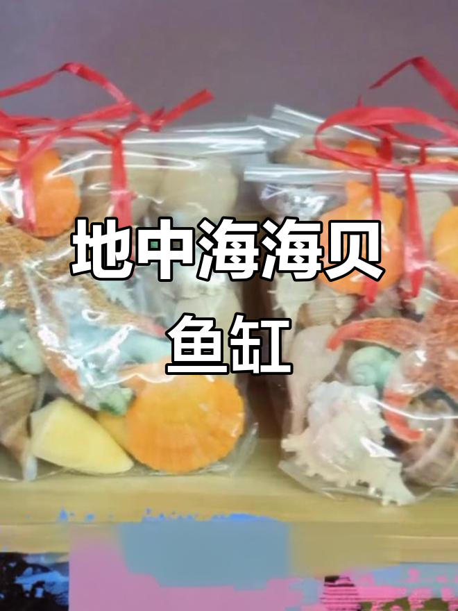 海螺贝壳鱼缸造景,打造地中海风格海洋世界