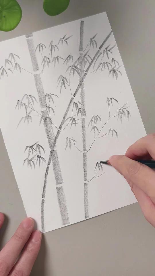 一支铅笔教你画竹子