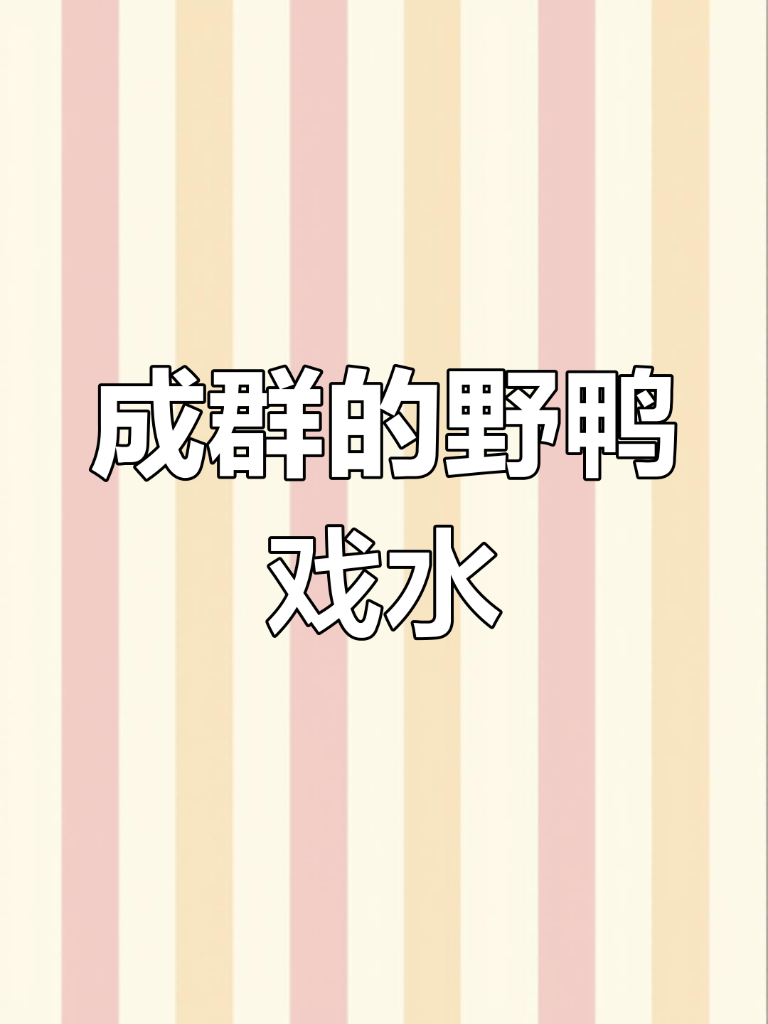 富顺生态环境改善,野鸭成群戏水享受春天