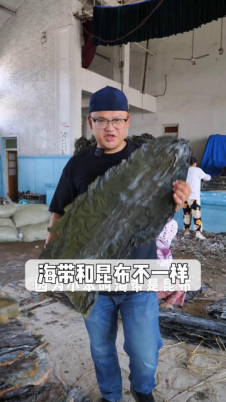 海带和昆布不一样