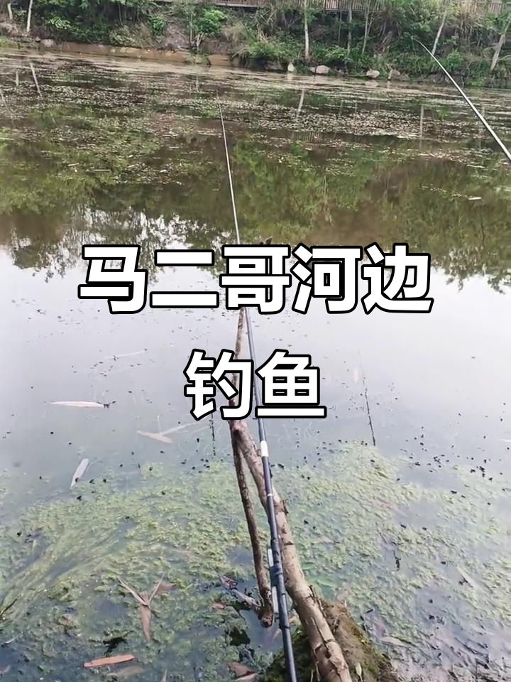 钓鱼要有耐心,马二哥河边钓大鱼