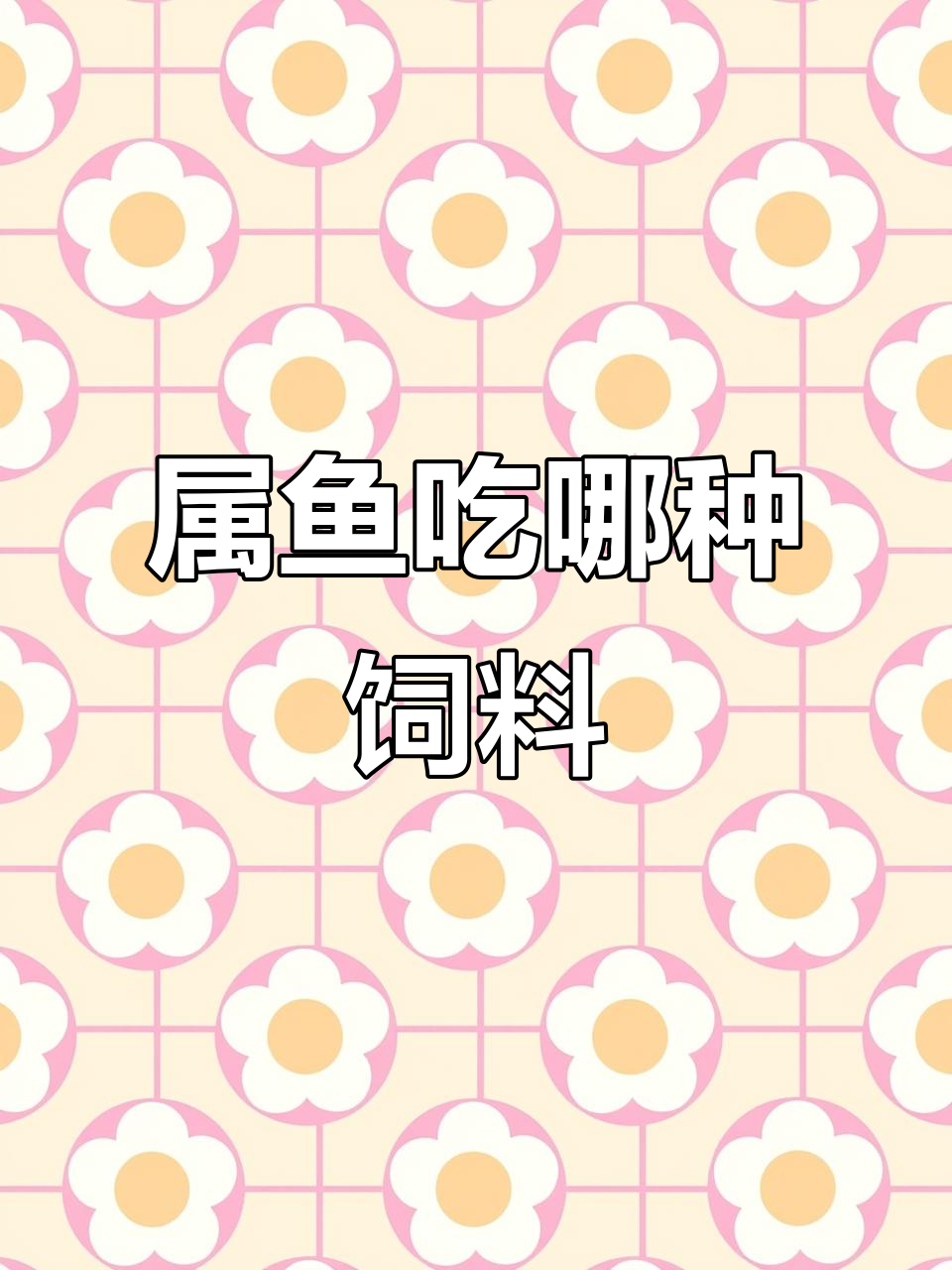 鼠鱼吃什么饲料?底细鱼的健康秘诀