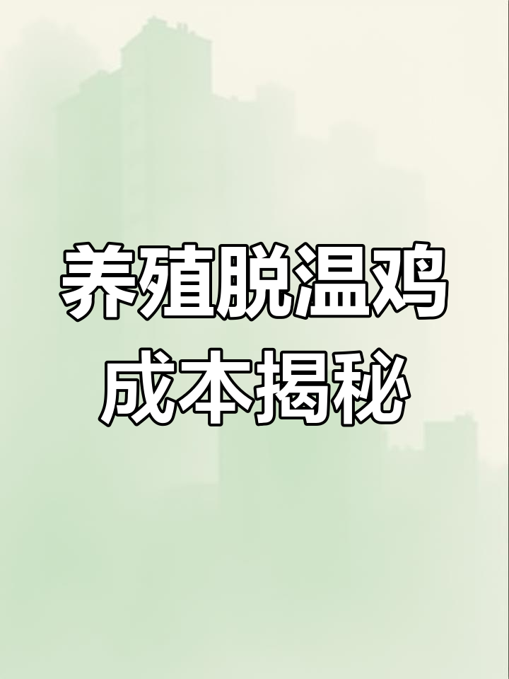 养脱温鸡的成本与利润分析,一只鸡到底能赚多少钱?