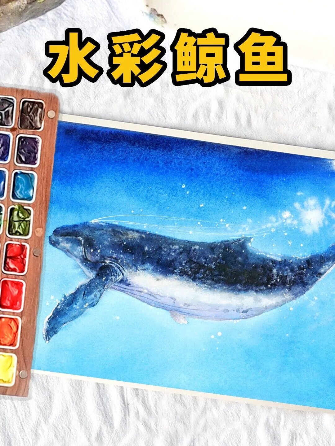 水彩教程·教你画一条座头鲸鱼~