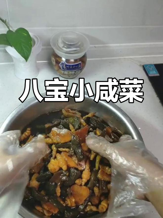 自制八宝小咸菜,开胃解腻必备