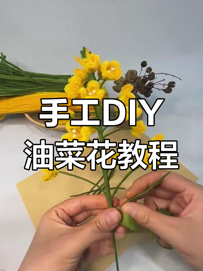用扭扭棒打造黄色油菜花,简单步骤教你做春天花朵