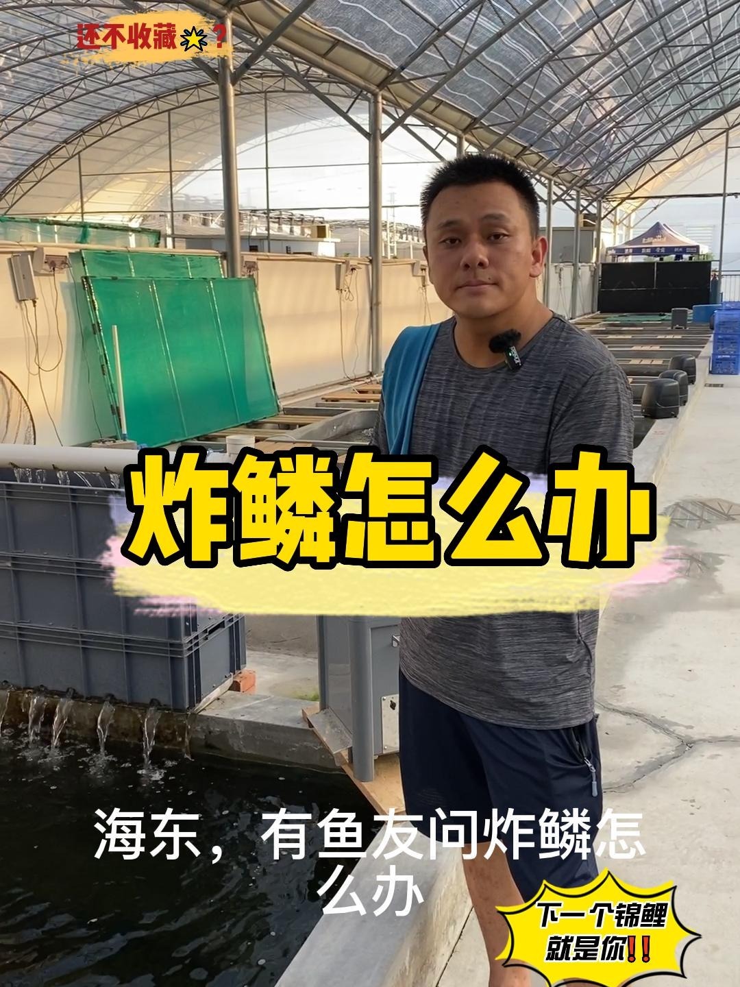 鱼炸鳞了怎么办?
