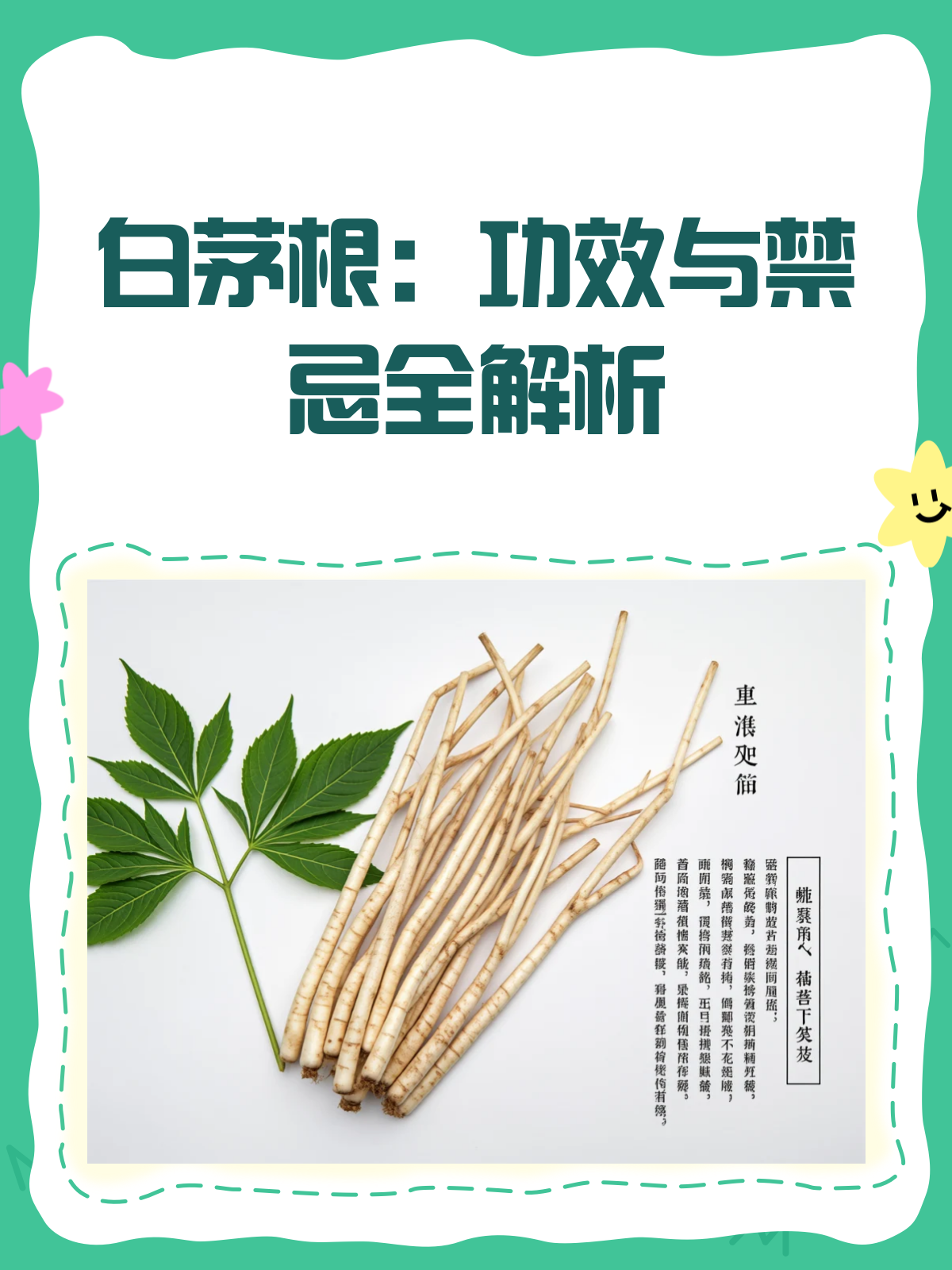 白茅根:清热利尿的“草根英雄”