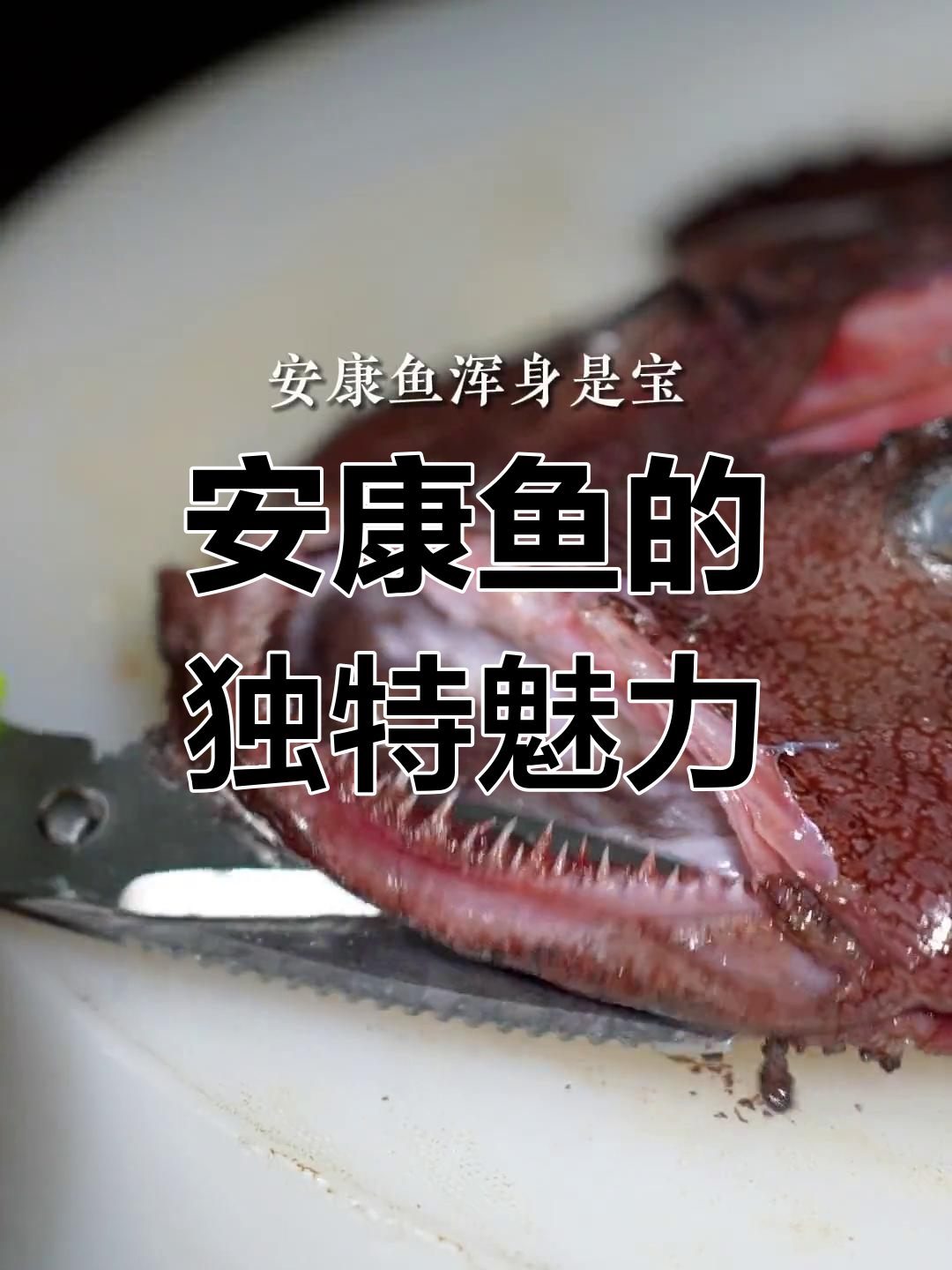 安康鱼:美味与营养兼备,吃法多样