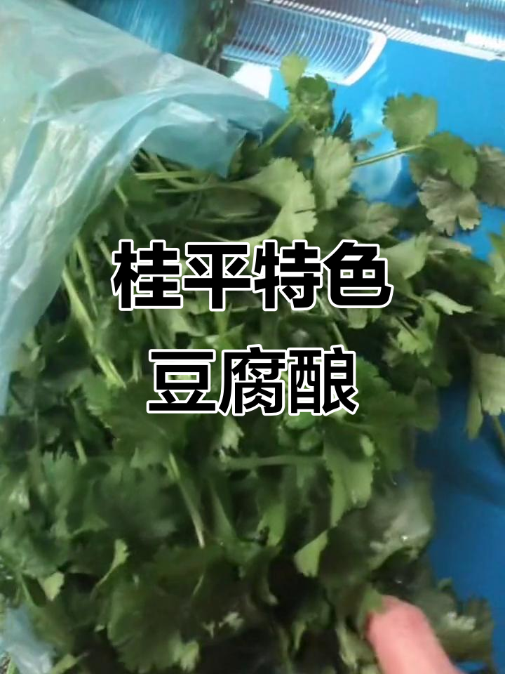 广西桂平特产豆腐酿,糯米猪肉香菇包菜一网打尽