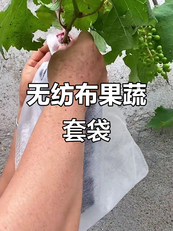 果蔬套袋防虫害，无纺布材质可重复使用