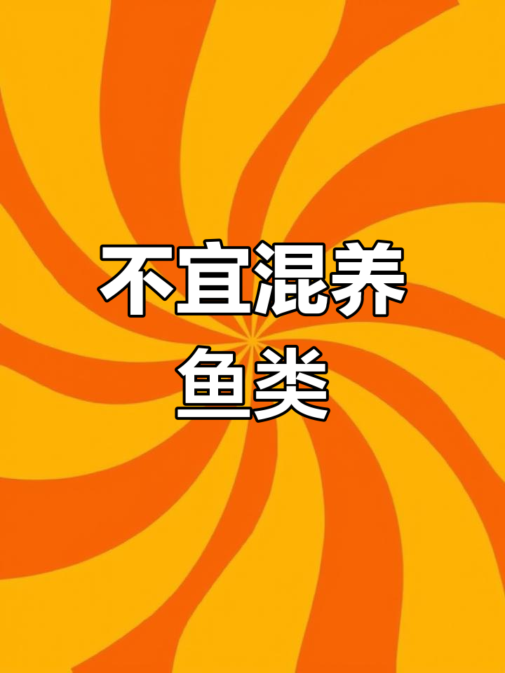 不能混养的观赏鱼种类