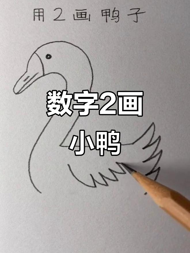用数字2画一只在水里游泳的可爱鸭子