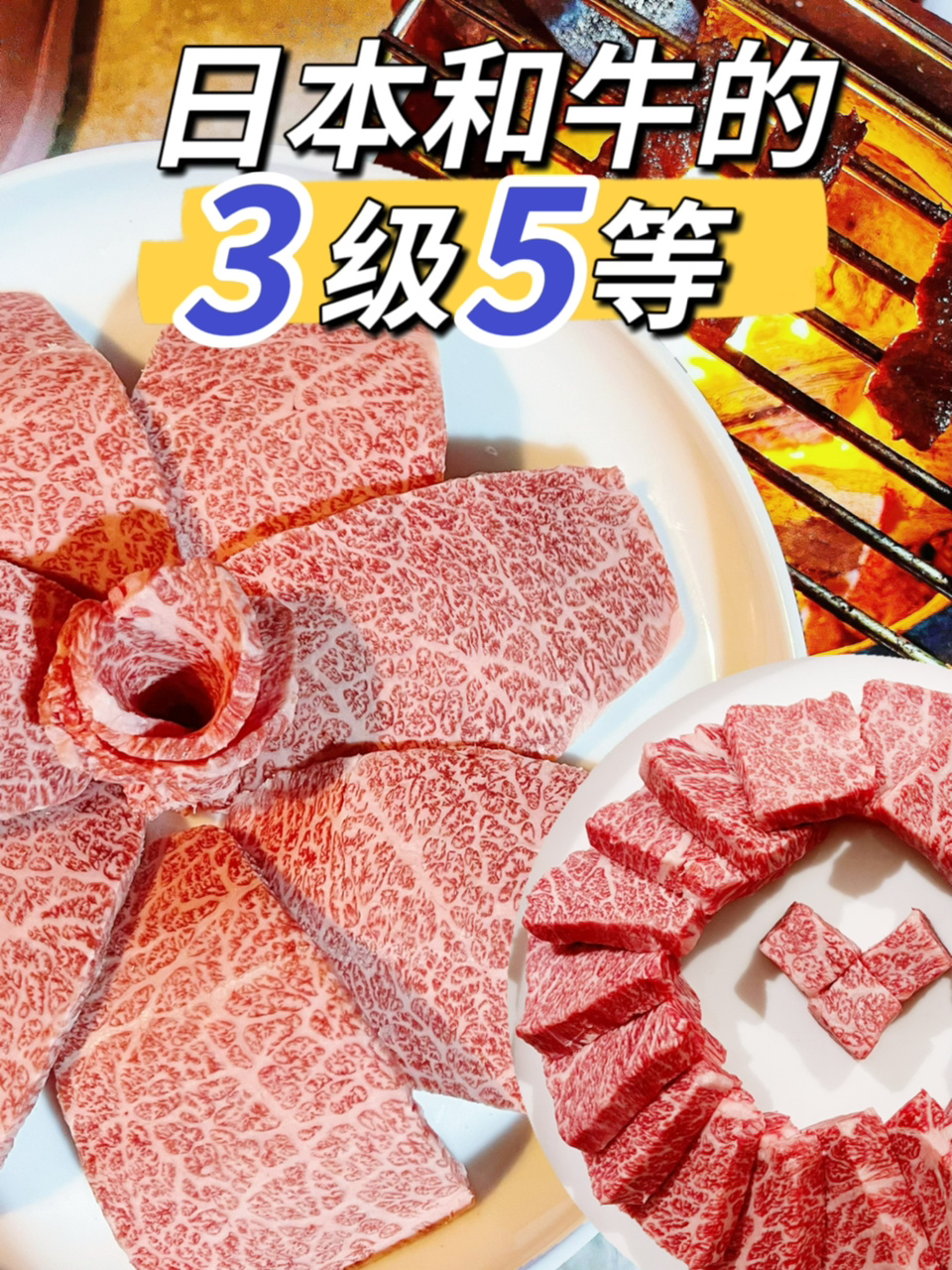 和牛科普|日本牛肉的三个级别五个等分