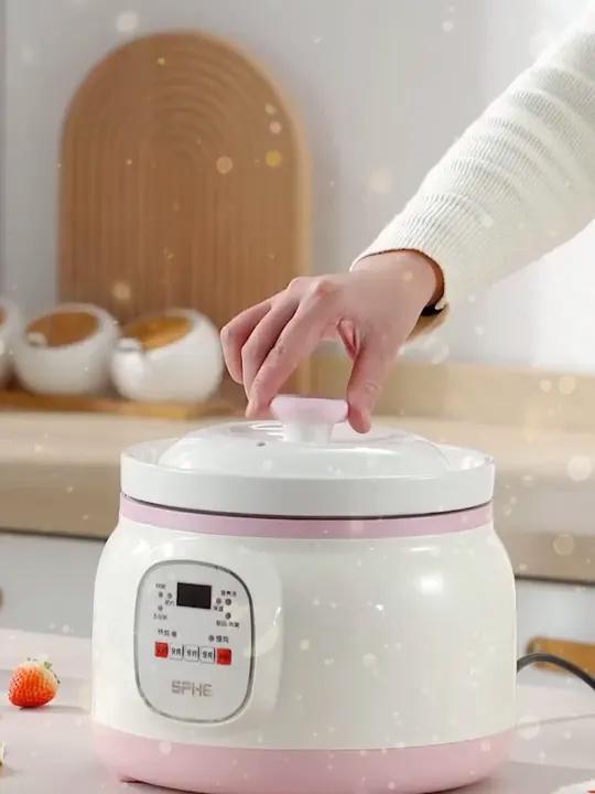 陶瓷电炖锅多功能辅食锅熬粥大容量煮粥神器家用全自动煲汤电炖盅 陶瓷锅 电炖锅