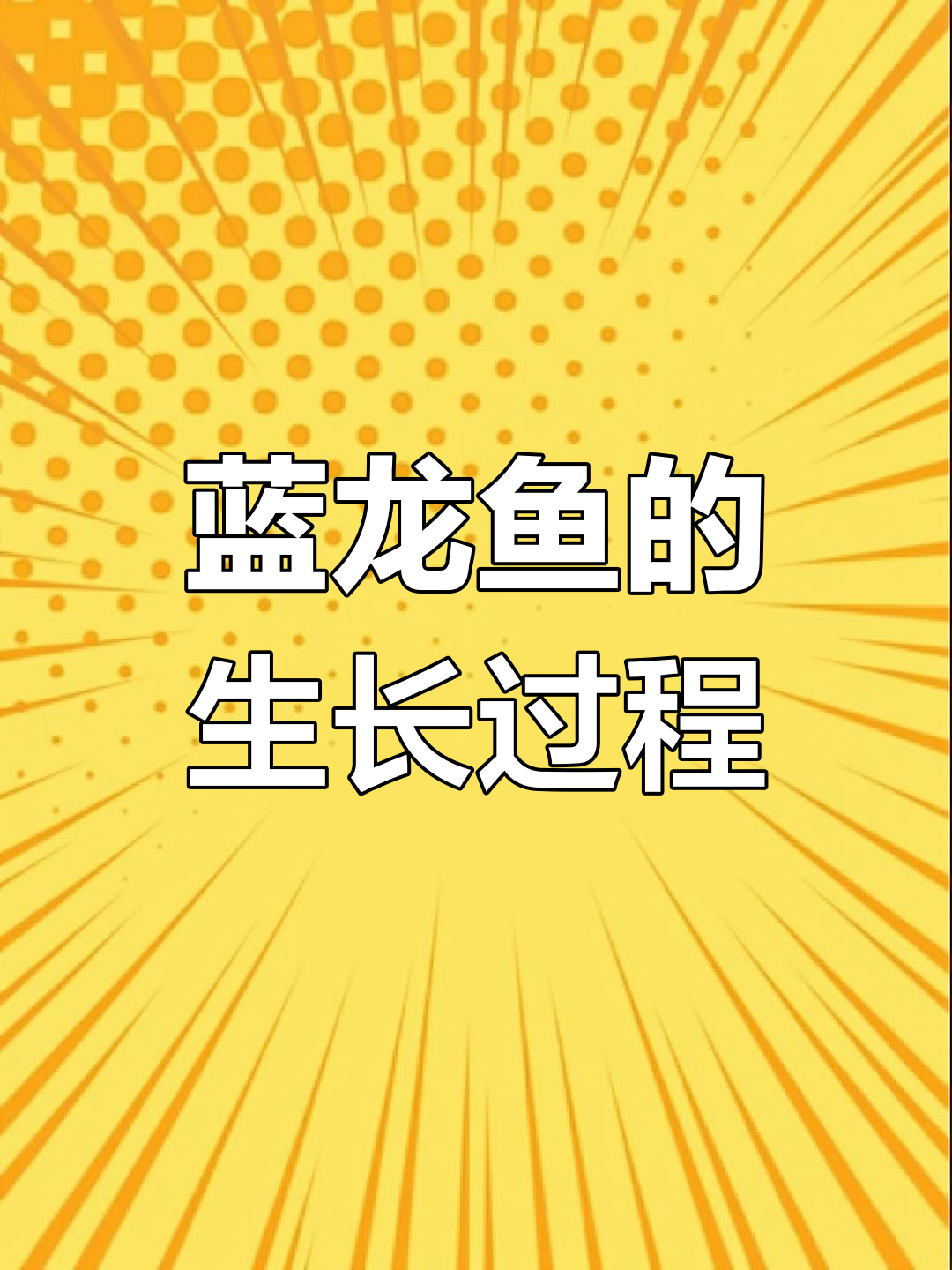蓝龙鱼成长全纪录:从喂丰年虾到亚成阶段