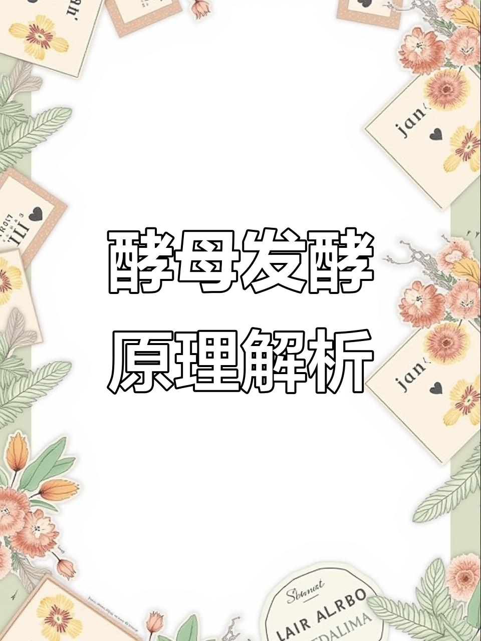 酵母如何通过分解糖和淀粉发酵面团?揭秘无氧呼吸过程