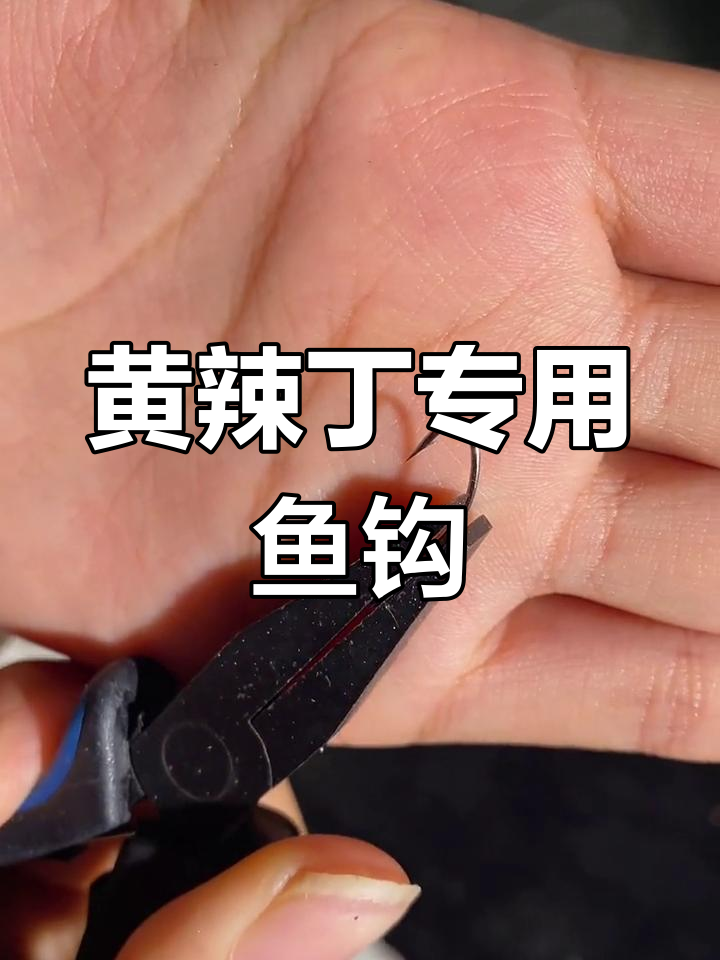 适合钓黄辣丁的鱼钩,长条窄门设计