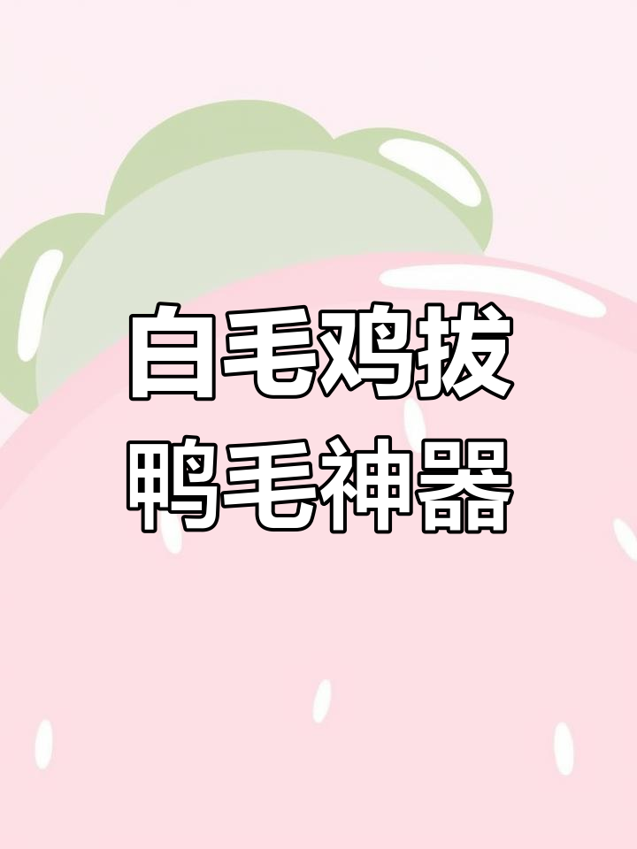 轻松拔鸭毛,不破皮!白毛鸡电动工具大揭秘