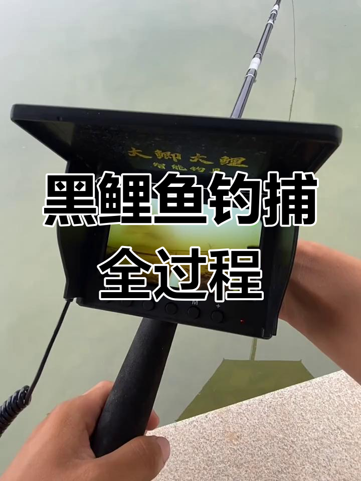 钓鱼高手挑战黑鲤鱼,惊险刺激全程实录