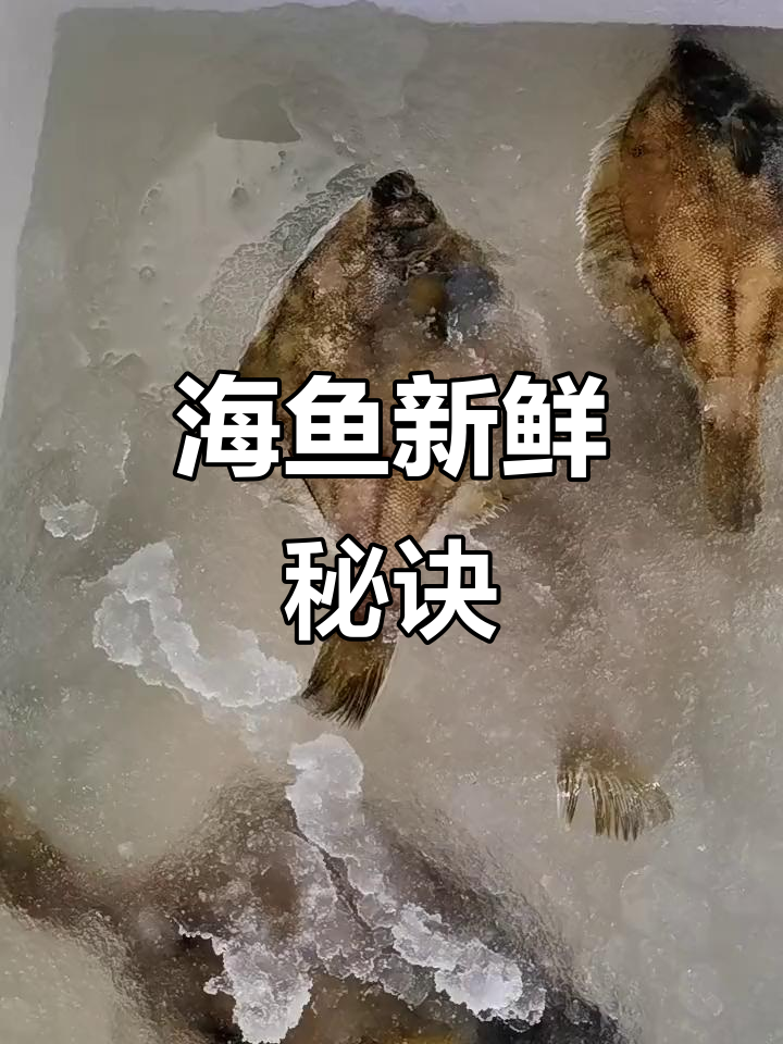 海水液态冰解冻黄金鲽,鲜度倍增肉质紧致