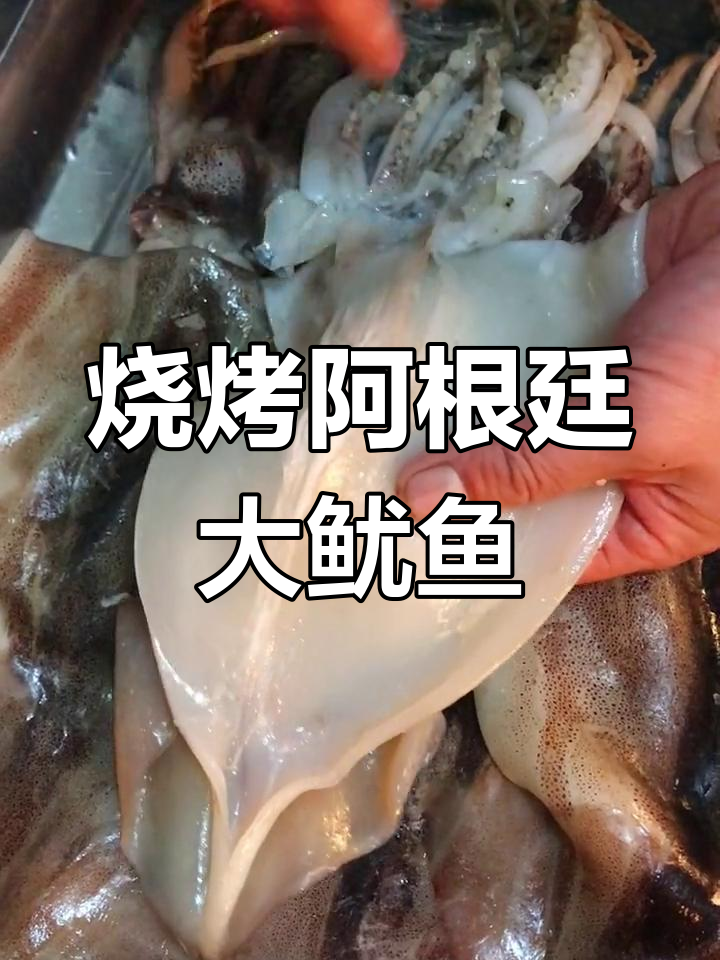 阿根廷大鱿鱼烫烤做法