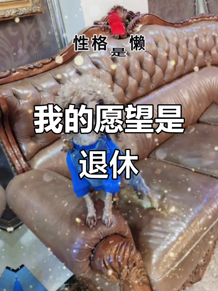 懒散、傻气又爱吃,这就是我的愿望:早日退休享受生活