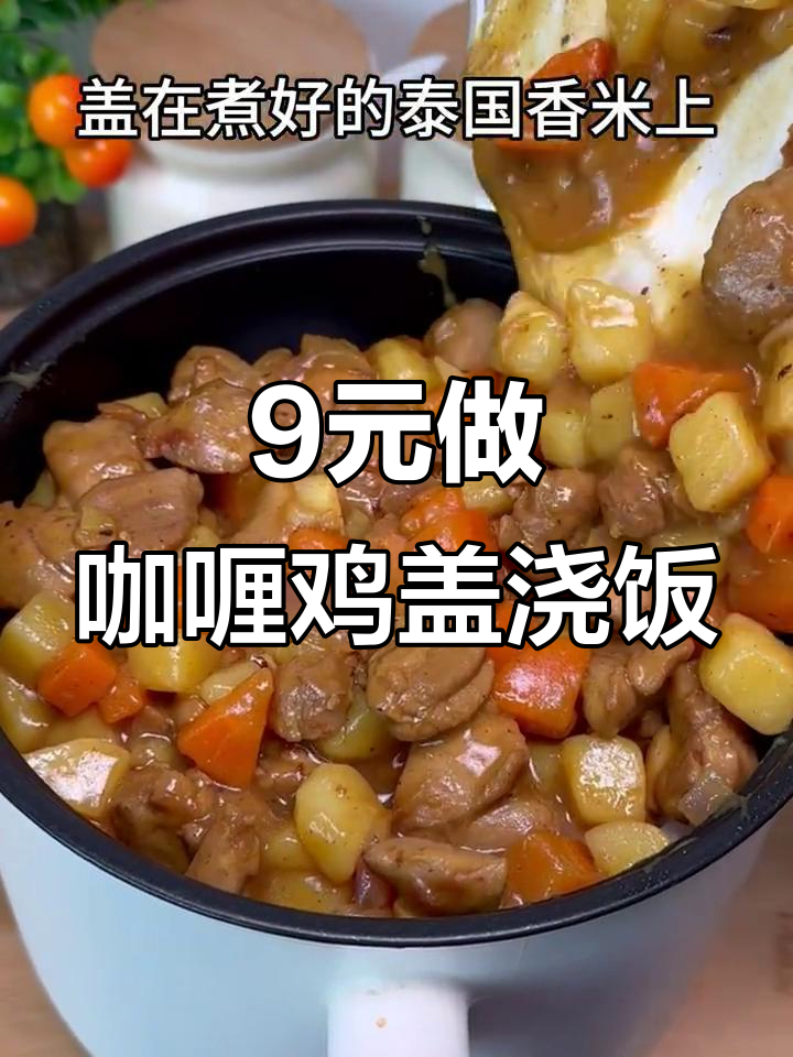 10元挑战:咖喱鸡肉盖浇饭,土豆红萝卜配香米饭