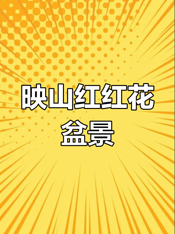 映山红红花全冠,别墅庭院必备的杜鹃盆景