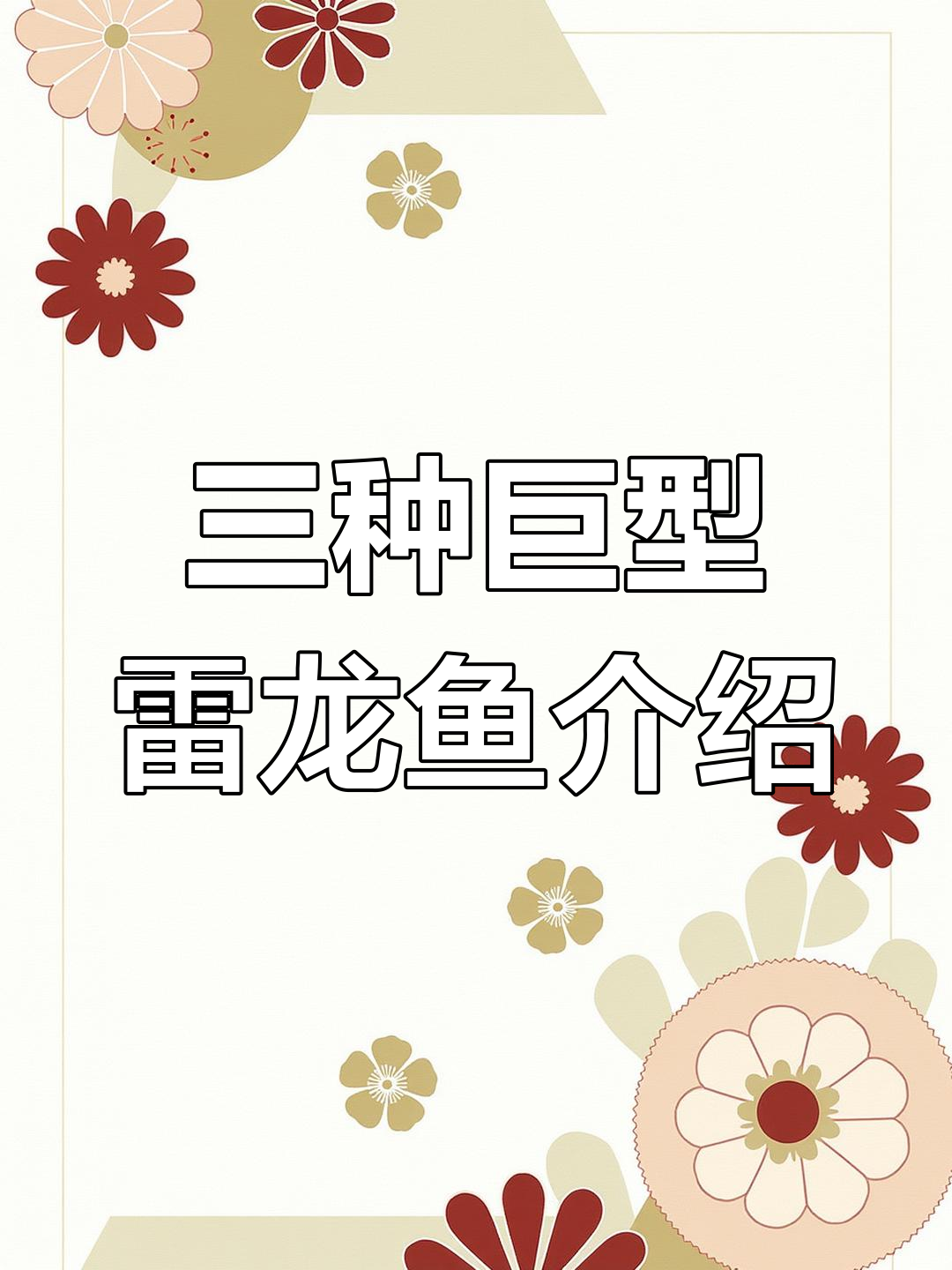 揭秘三种大型雷龙鱼:巴卡、天金眼镜蛇与白甲