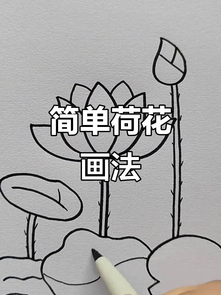 夏日荷花简笔画教程,轻松学会画美丽荷塘