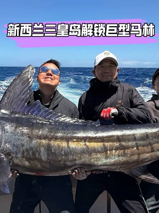 新西兰三皇岛解锁巨型马林鱼