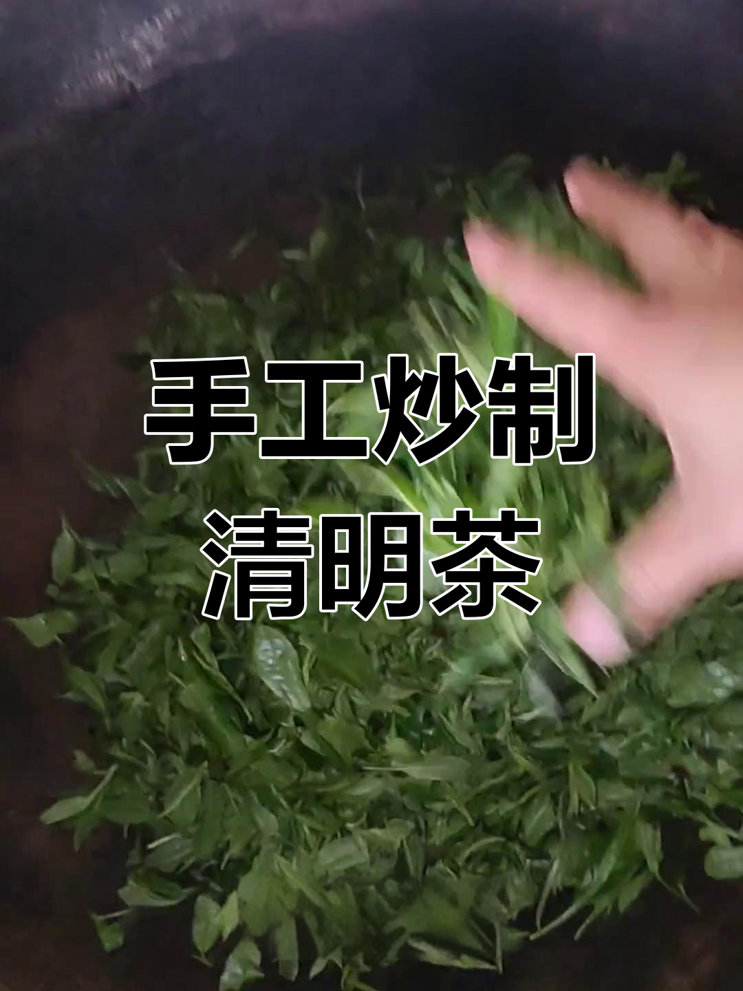 春天炒茶的仪式感,手工制作清明茶