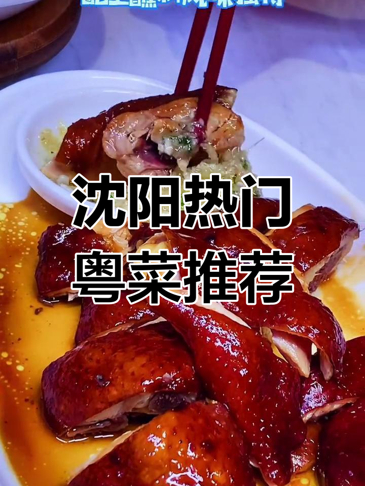沈阳粤菜新发现!玫瑰豉油鸡与鲜虾粉肠,下饭神器不容错过