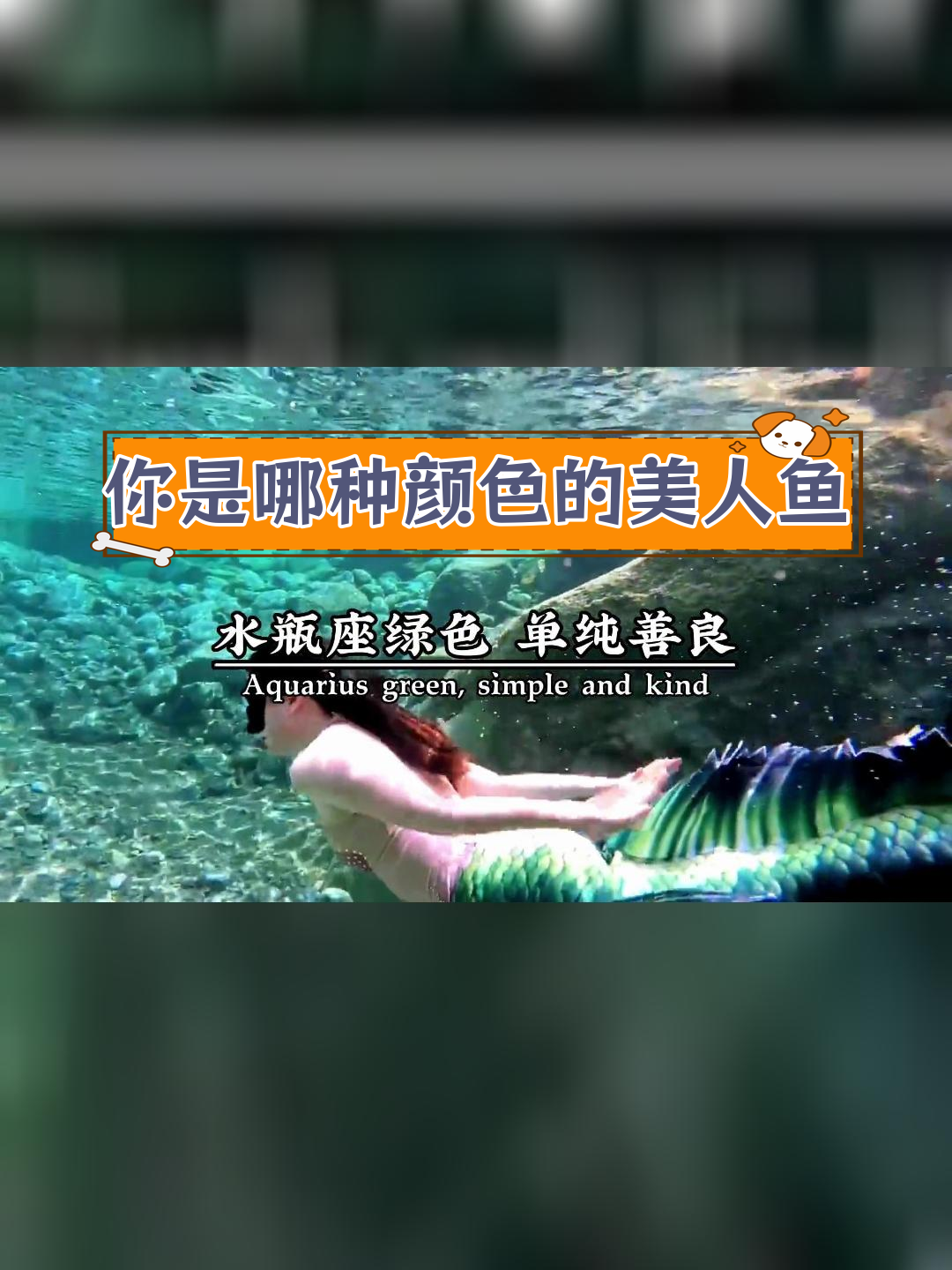 十二星座美人鱼的颜色,双鱼座蓝色低调温柔