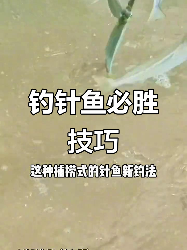 钓针鱼必备神器,高效浮钓组合,轻松捕获!