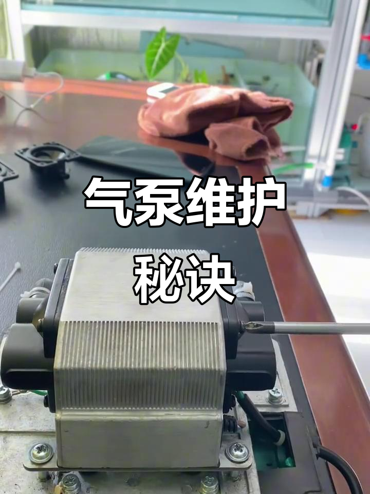 鱼缸气泵日常,海利9720保养技巧大揭秘!