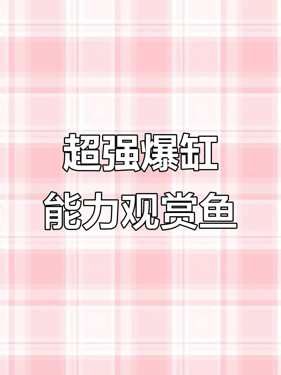 十大最容易爆缸的观赏鱼，新手也能轻松养