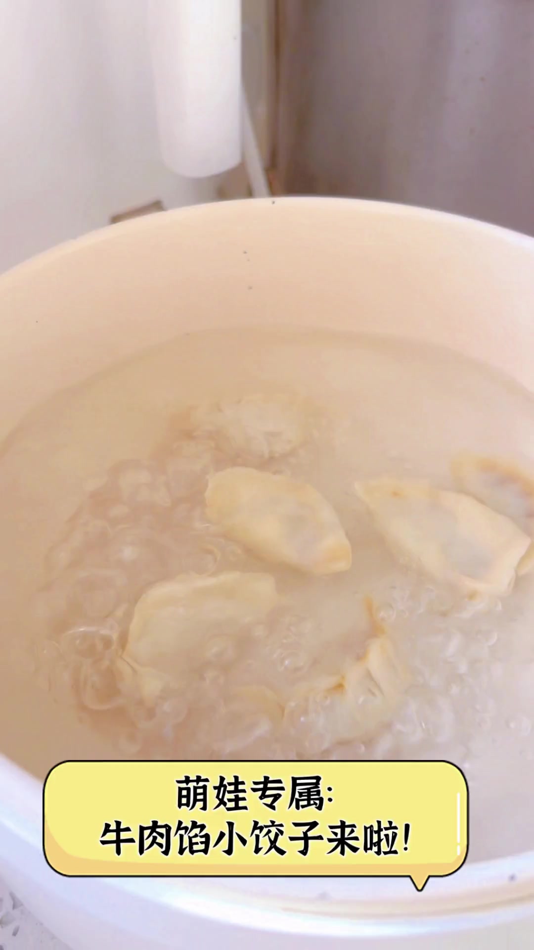 萌娃专属:牛肉馅小饺子来啦!