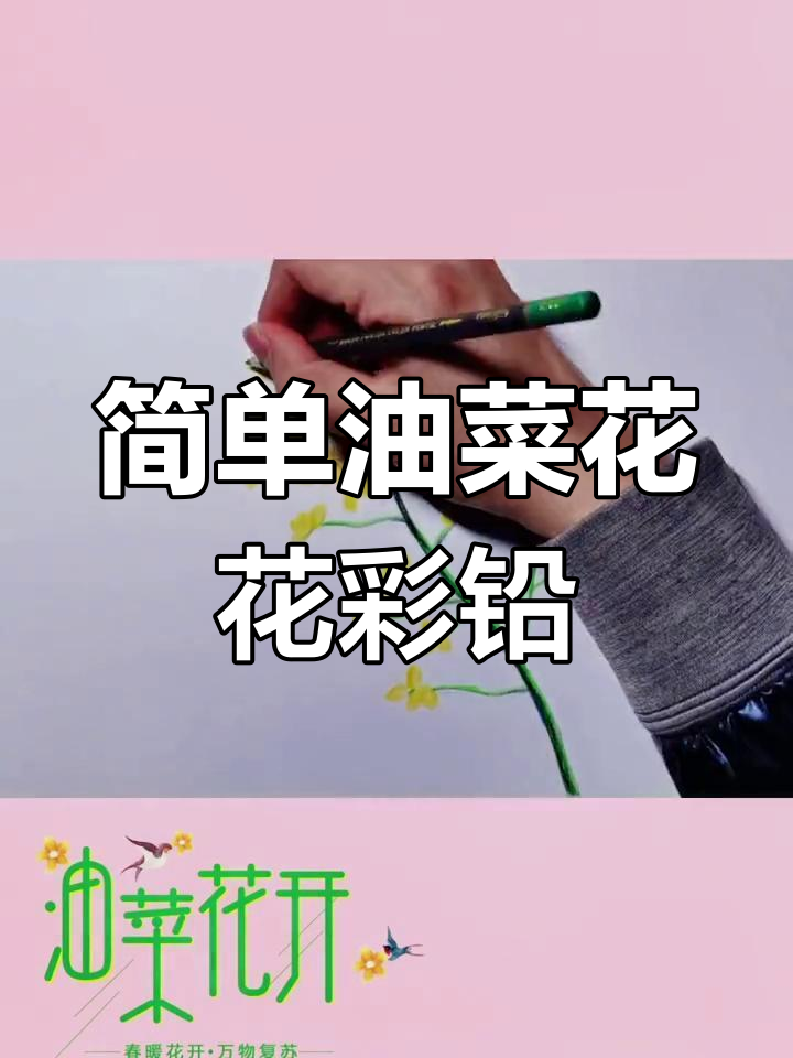 油菜花彩铅画教程,轻松学会绘制美丽花朵