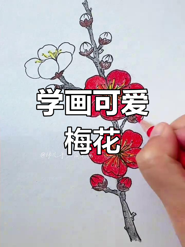 轻松学会画梅花,步骤简单又有趣