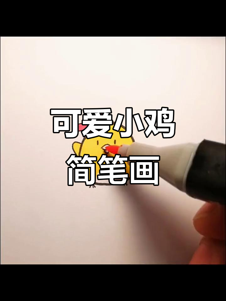 小鸡招手萌宠乐园,简单画画乐趣多