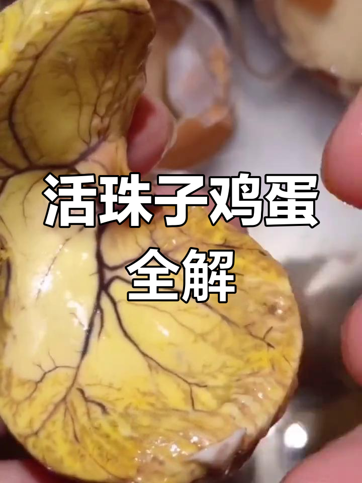 活珠子鸡蛋大揭秘:蛋黄、胚胎与底座的完美口感