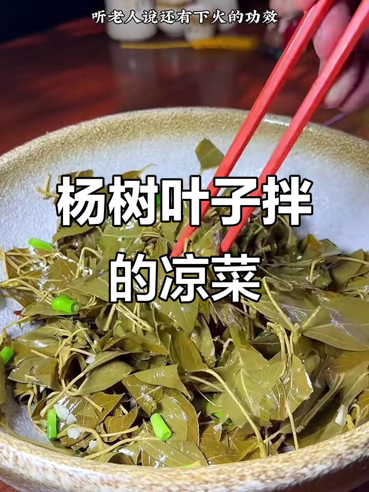只有四五月份才能吃到的独特凉菜,杨树叶做的美味你尝过吗?