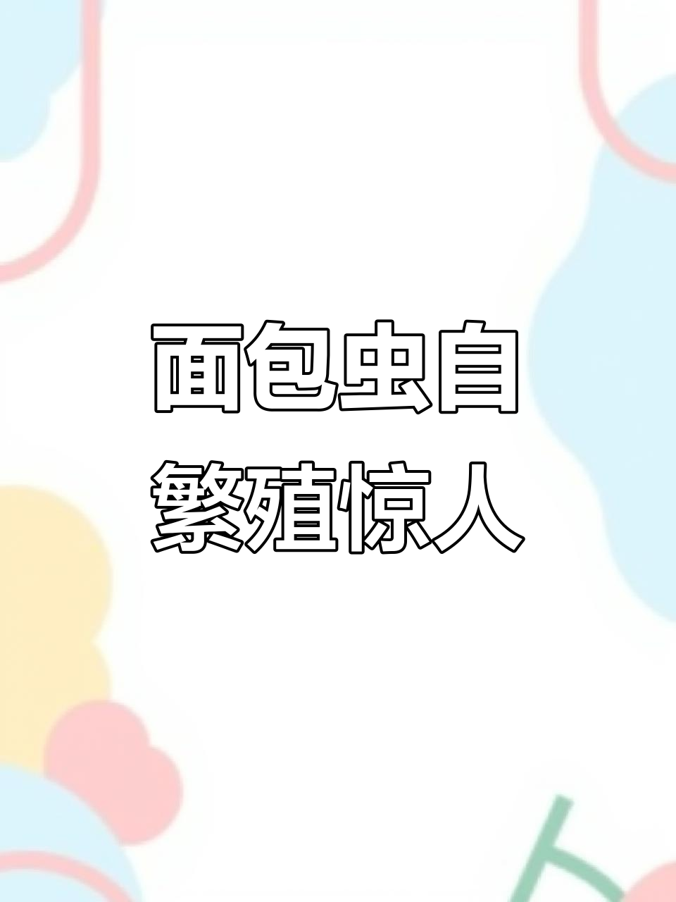 面包虫化蛹后爆发,竟然成了我的活饲料库!